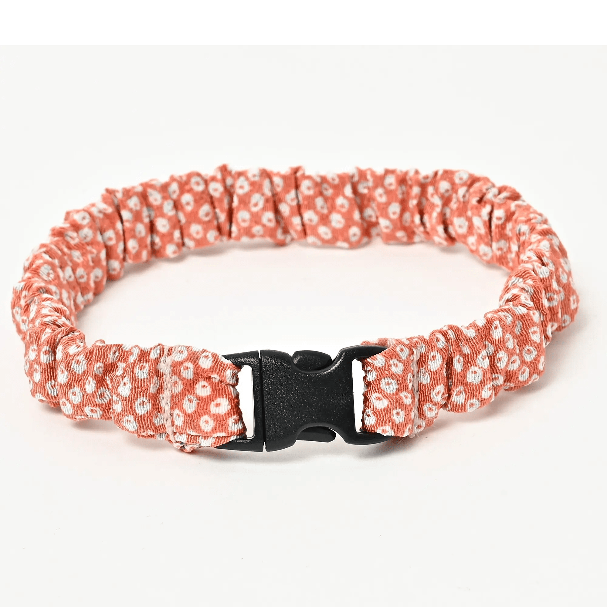 にゃんくるバンド - colovany