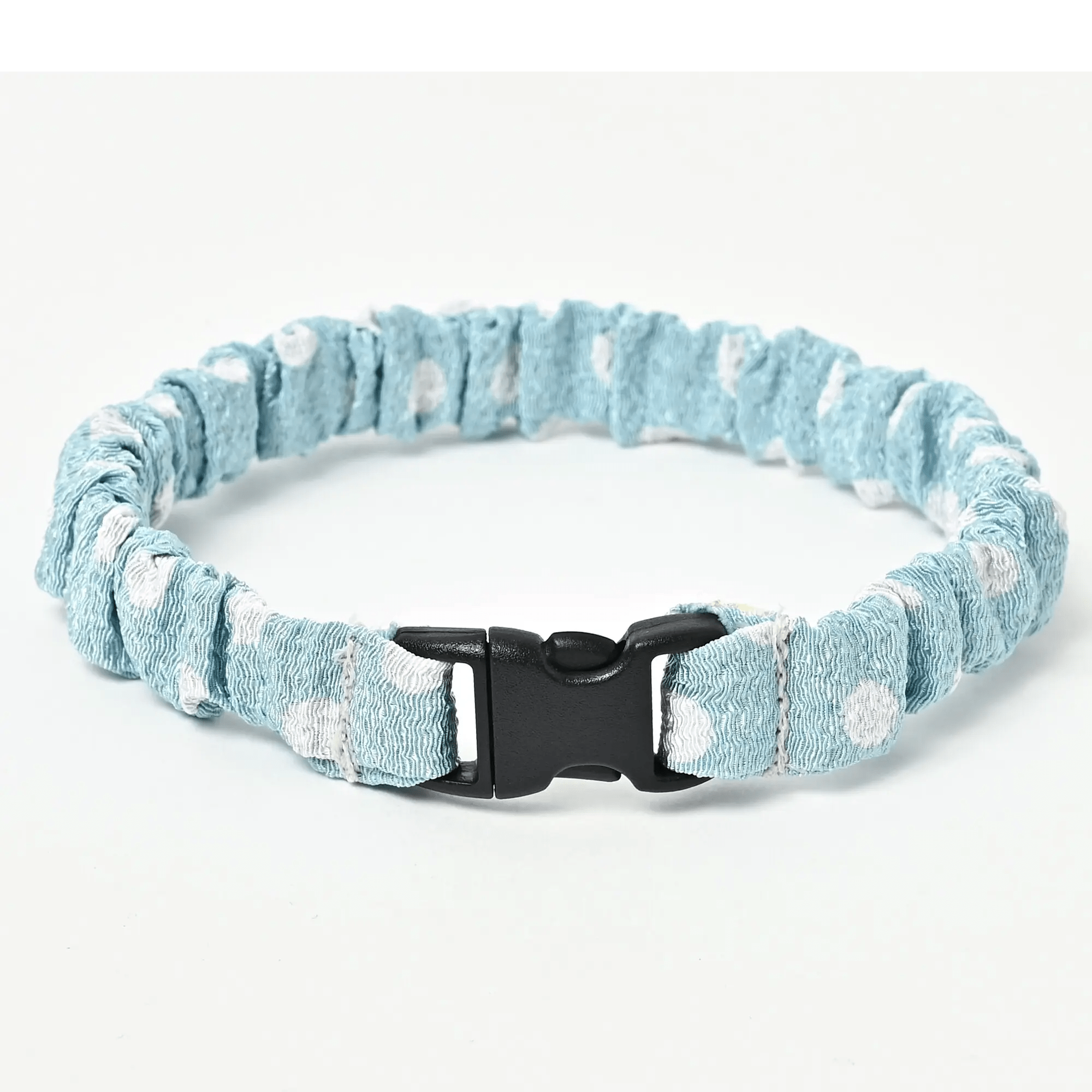 にゃんくるバンド - colovany