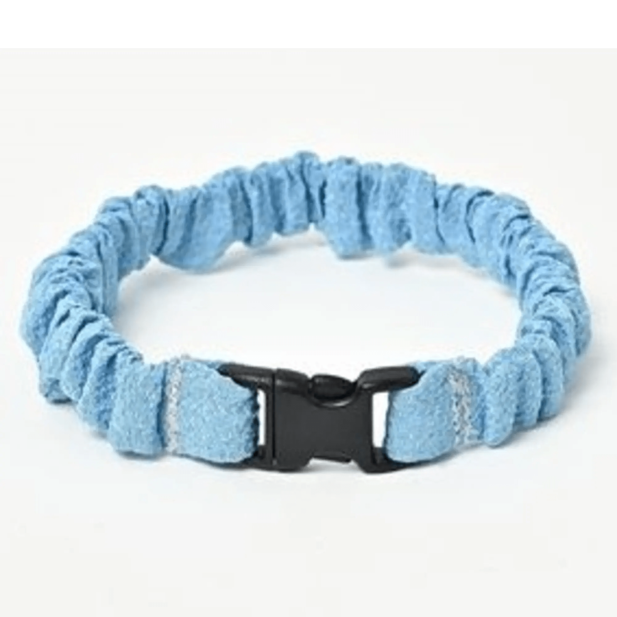 にゃんくるバンド - colovany