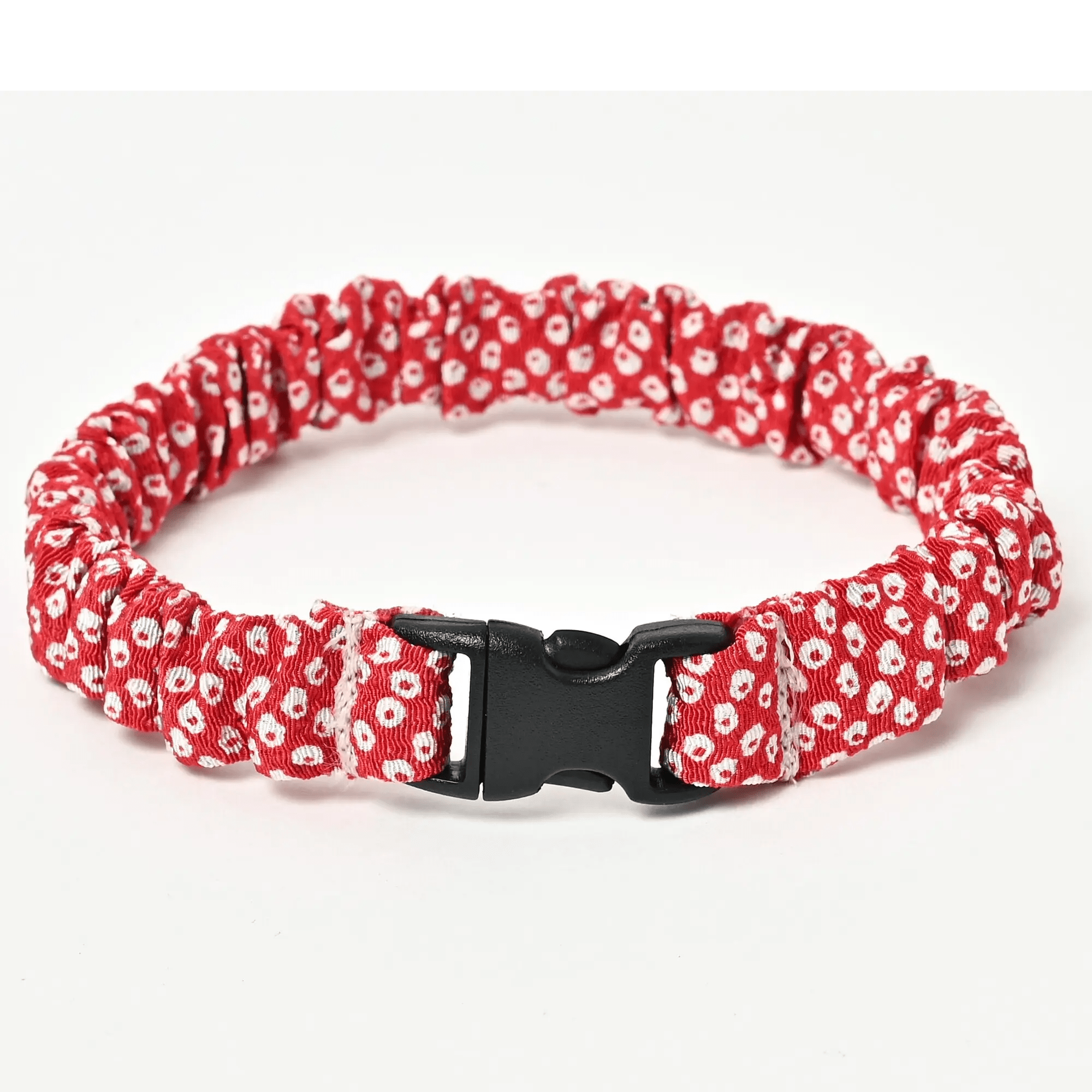 にゃんくるバンド - colovany