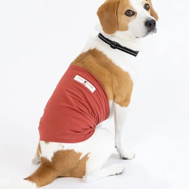 [コロバニィ] ペタプラス® HARAMAKI（犬・猫用）腹巻き／スヌード・ネックウォーマー スパオール®×テラクォール®加工 日本製 8サイズ 2色