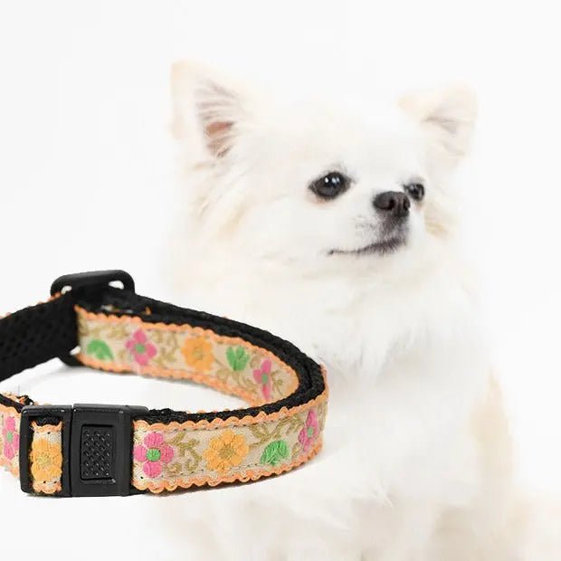 [コロバニィ] ペタプラス® わんくるバンド 小型犬用 ネックバンド スパオール®×TERAQOL®加工 フリーサイズ(首周り23〜38cm) 2色